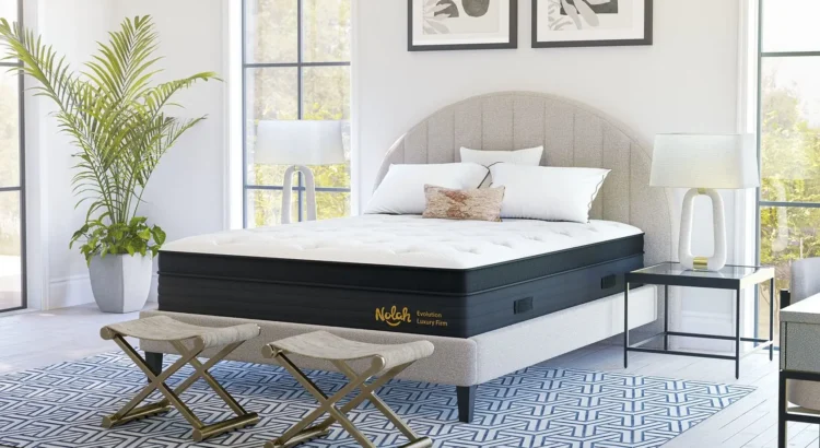 Why Was the Nolah Evolution Rated the “Best Mattress for Spinal Alignment” by the Sleep Foundation in Overland Park?